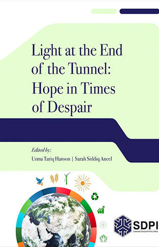 Light at the End of the Tunnel Hope in Times of Despair